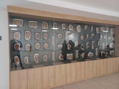 Ученици от ПХГ „Св. Св. Кирил и Методий“ се запознаха с академичната среда на Бургаския държавен университет