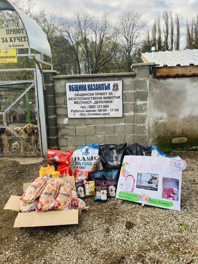 Децата от ДГ в с. Долно Изворово с трогателен жест към опашатите обитатели на Общинския съвет за безстопанствени кучета в Казанлък