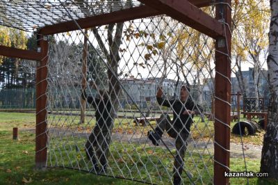 Ден на отворените врати във военното формирование в Казанлък