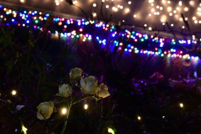 Шипка посреща декември с благотворителни инициативи и красива коледна украса 