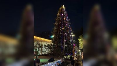 Коледната елха в Павел баня грейна с хиляди светлинки  / Новини от Казанлък
