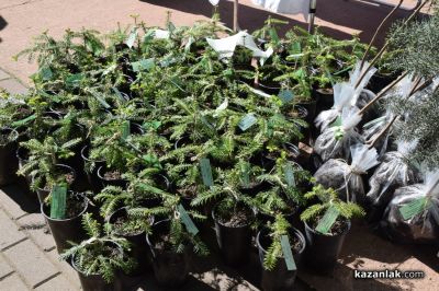 Ученици и доброволци от община Казанлък се включват в залесителна инициатива край Шипка / Новини от Казанлък