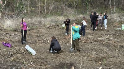 Ученици и доброволци залесяваха пострадалата гора край Шипка