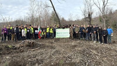 Ученици и доброволци залесяваха пострадалата гора край Шипка / Новини от Казанлък