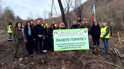Ученици и доброволци залесяваха пострадалата гора край Шипка
