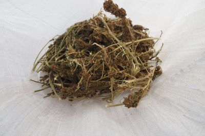 Криминалисти от полицейското управление в Казанлък иззеха над 900 грама марихуана от имот в Горно Сахране / Новини от Казанлък