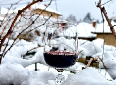 В Бузовград организират конкурс за най-добро домашно вино / Новини от Казанлък