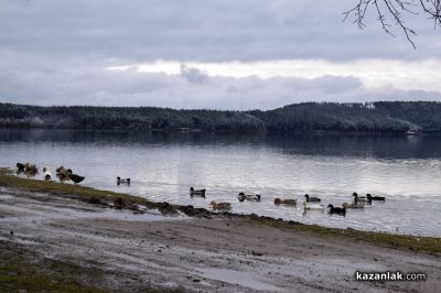 Зимни пейзажи край язовир “Копринка“