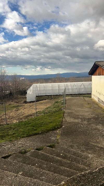 Възстановени са оранжериите за биологично стопанство в село Долно Изворово 