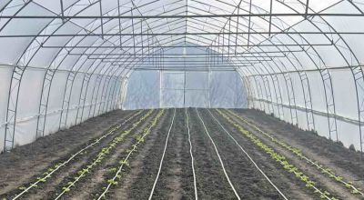 Възстановени са оранжериите за биологично стопанство в село Долно Изворово  / Новини от Казанлък