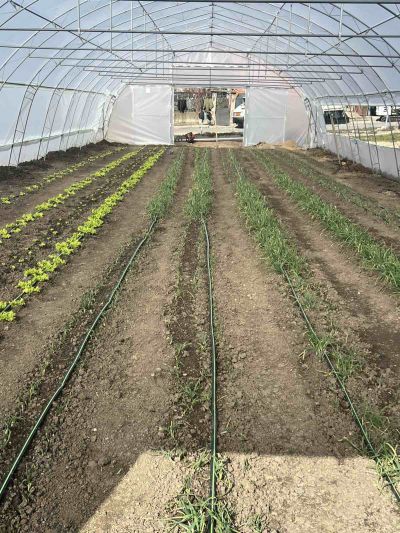 Възстановени са оранжериите за биологично стопанство в село Долно Изворово 