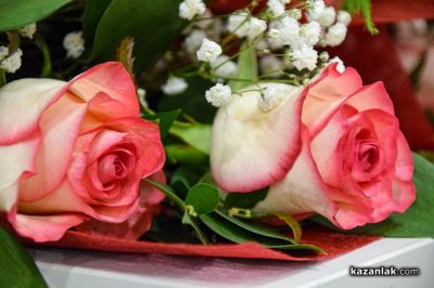 Кметът Галина Стоянова отличи служителите на социалните услуги за Световния ден на социалната грижа 