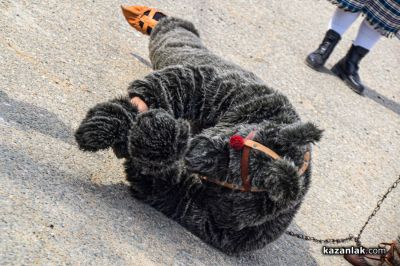 Фестивал “Старци в Турия“ - част 2 