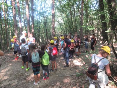 “Орлово гнездо-1957“ и приятели организират открит тренировъчен лагер за начинаещи по МТВ ориентиране  / Новини от Казанлък