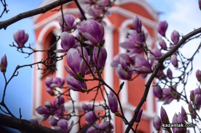 Пролетно настроение