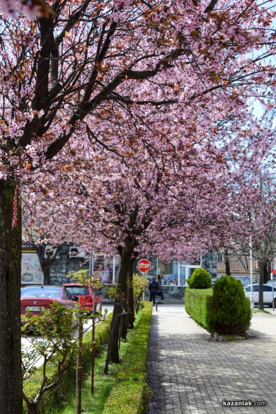 Пролетно настроение