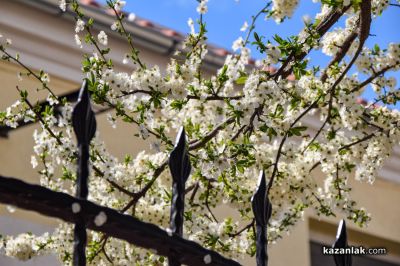 Пролетно настроение