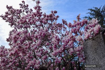 Пролетно настроение