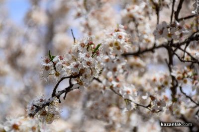 Пролетно настроение