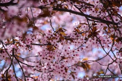 Пролетно настроение