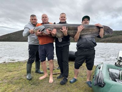 Кмет улови 79-килограмов сом на язовир Жребчево / Новини от Казанлък