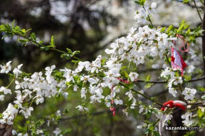 Пролетно настроение