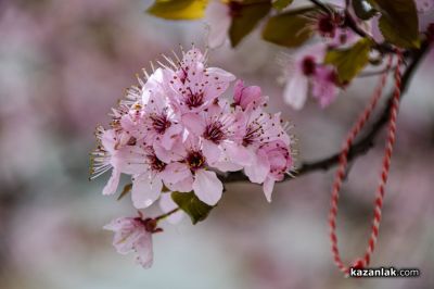 Пролетно настроение