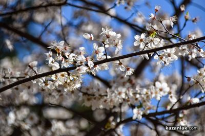 Пролетно настроение