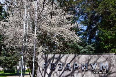 Пролетно настроение