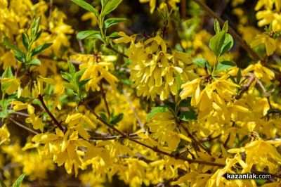 Пролетно настроение