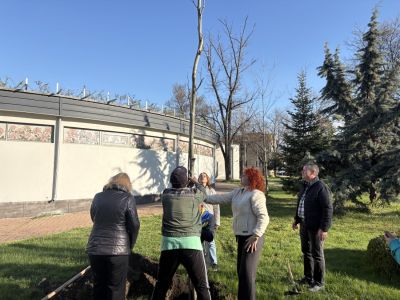 130 броя дървета бяха засадени в Казанлък в Седмицата на гората 