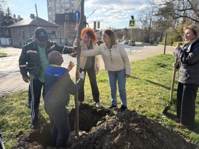 130 броя дървета бяха засадени в Казанлък в Седмицата на гората 