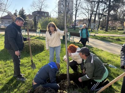 130 броя дървета бяха засадени в Казанлък в Седмицата на гората 