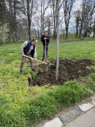 130 броя дървета бяха засадени в Казанлък в Седмицата на гората 