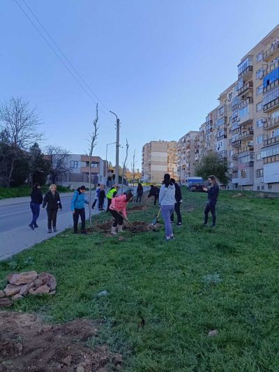 130 броя дървета бяха засадени в Казанлък в Седмицата на гората 