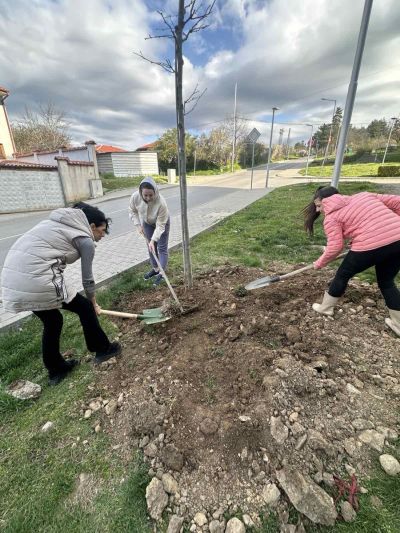 130 броя дървета бяха засадени в Казанлък в Седмицата на гората 