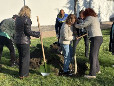 130 броя дървета бяха засадени в Казанлък в Седмицата на гората 