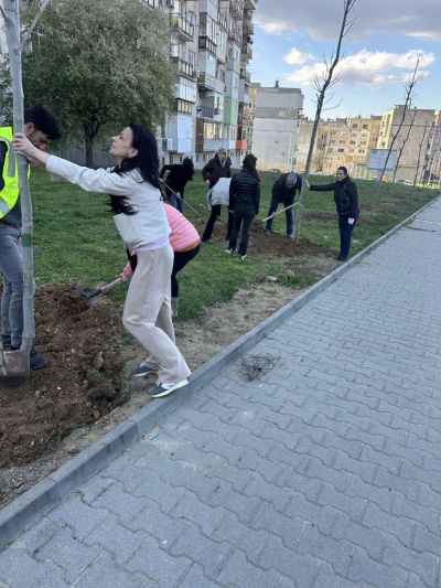 130 броя дървета бяха засадени в Казанлък в Седмицата на гората 
