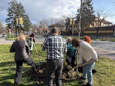130 броя дървета бяха засадени в Казанлък в Седмицата на гората 