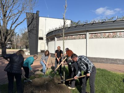 130 броя дървета бяха засадени в Казанлък в Седмицата на гората 