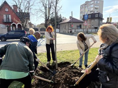 130 броя дървета бяха засадени в Казанлък в Седмицата на гората  / Новини от Казанлък