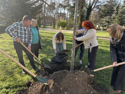 130 броя дървета бяха засадени в Казанлък в Седмицата на гората 