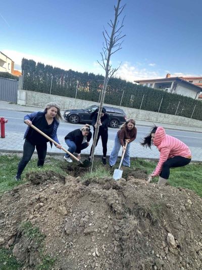 130 броя дървета бяха засадени в Казанлък в Седмицата на гората 