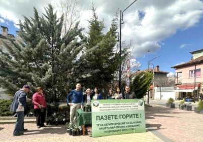 Държавното горско стопанство в Казанлък подари 300 фиданки на жителите и гостите на града / Новини от Казанлък