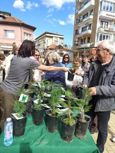 Държавното горско стопанство в Казанлък подари 300 фиданки на жителите и гостите на града
