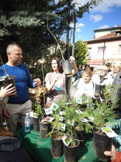 Държавното горско стопанство в Казанлък подари 300 фиданки на жителите и гостите на града