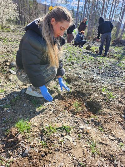 Горски служители от Казанлък и ученици залесяваха край Шипка