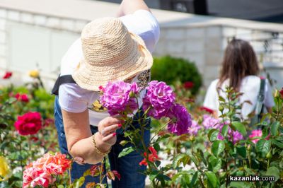 Фестивали, концерти и зрелищни събития през цялото лято очакват посетителите на Етнографски комплекс “Дамасцена“