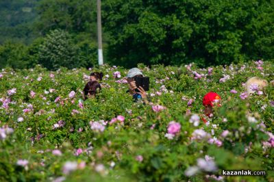 Фестивали, концерти и зрелищни събития през цялото лято очакват посетителите на Етнографски комплекс “Дамасцена“
