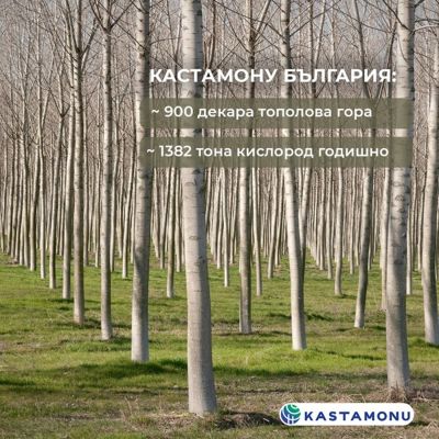 Над 860 декара нова гора - Кастамону България разширява зелените си инициативи / Новини от Казанлък